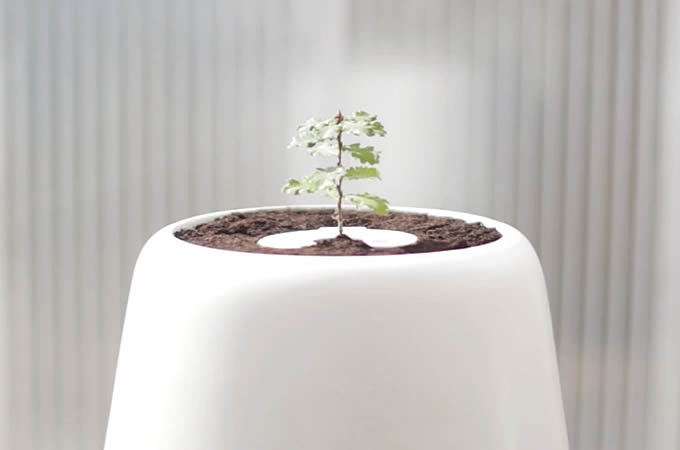 【永恆的愛】世界上第一個骨灰培養器 讓最愛的人重生成為新生命